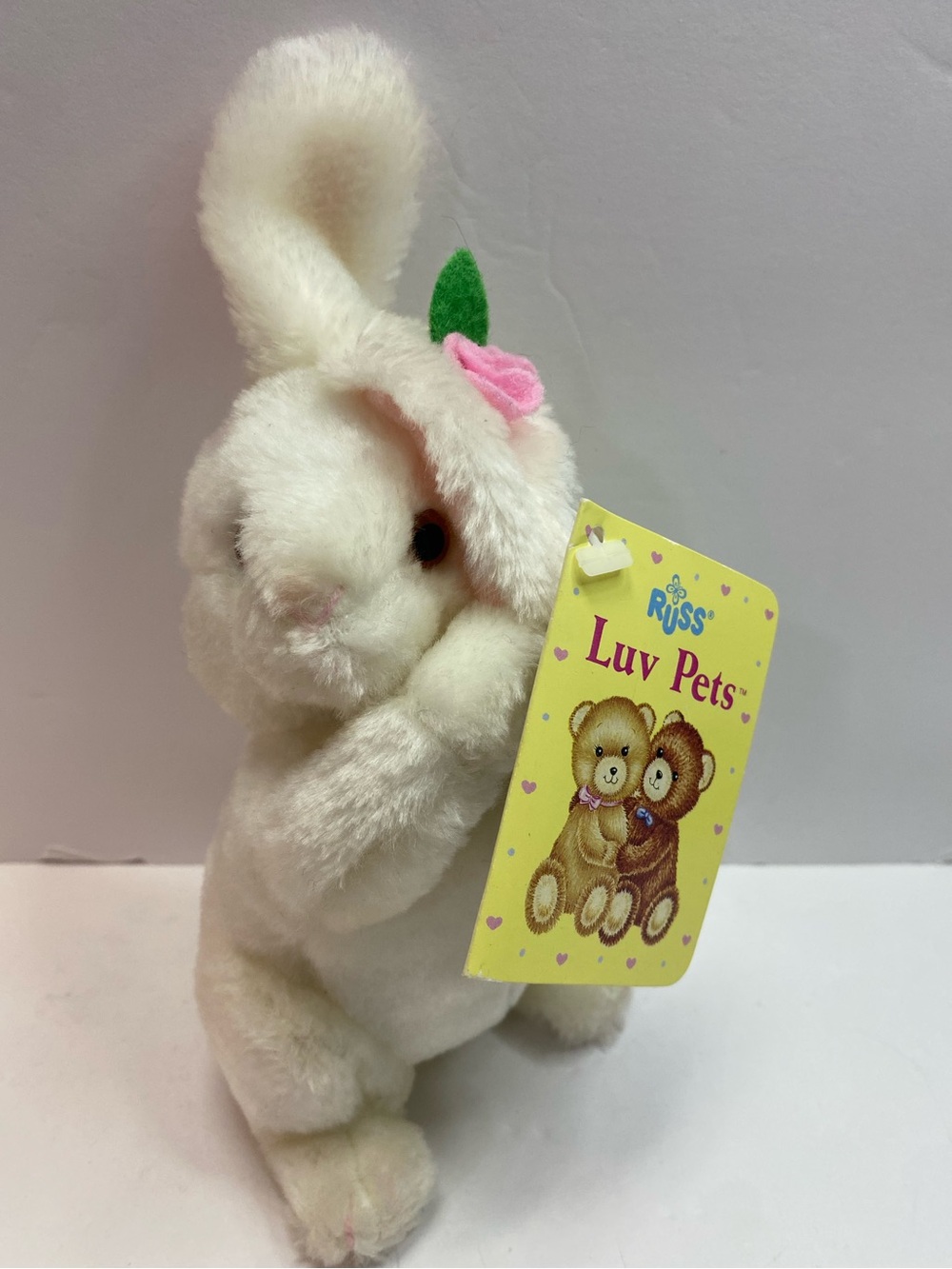 Russ love pets rosey rabbit